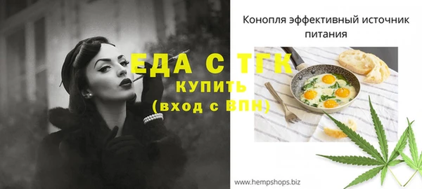 молекула духа Волоколамск