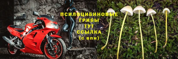 дживик Бердск