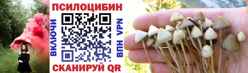 где можно купить   Вятские Поляны  Галлюциногенные грибы Magic Shrooms 